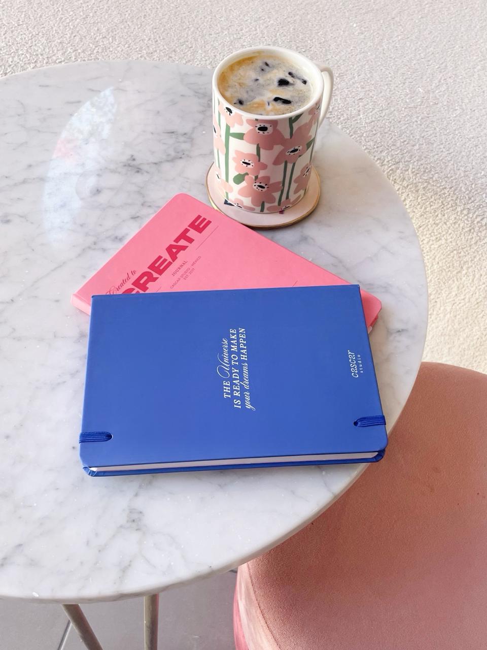 Journal - VENUS