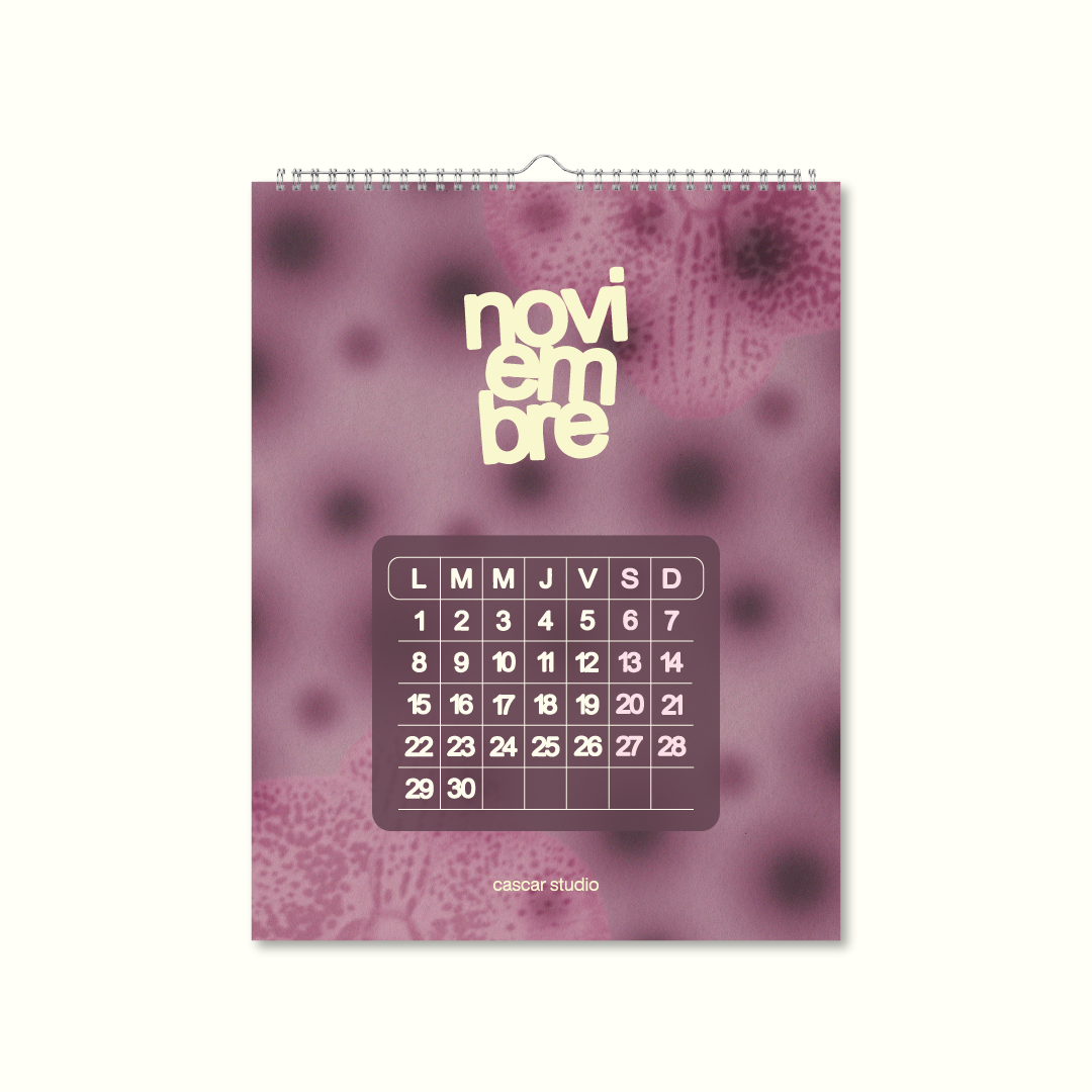 ✨ Wall Calendar 2027