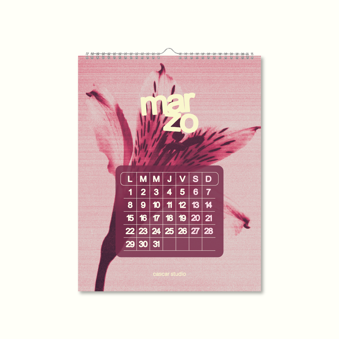 ✨ Wall Calendar 2027