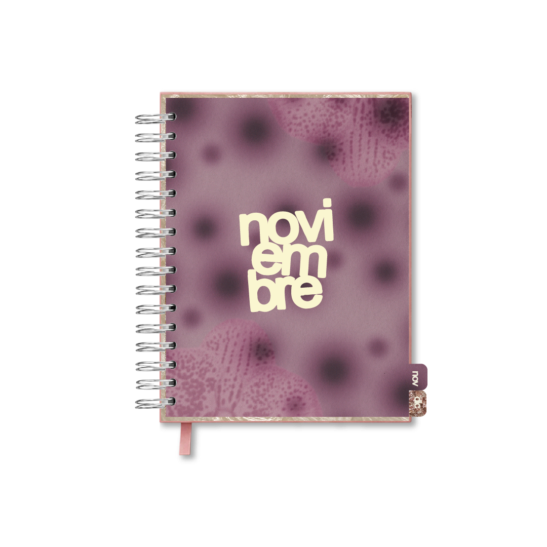 My Dream Planner 2027 - ESPIRAL ✨